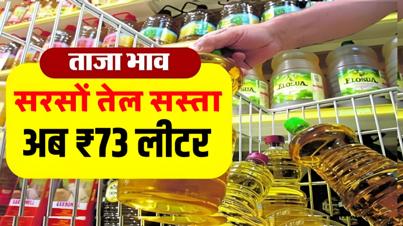Sarso Tel Price Update