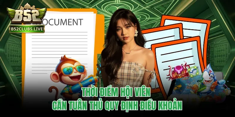 Thời điểm hội viên cần tuân thủ quy định điều khoản